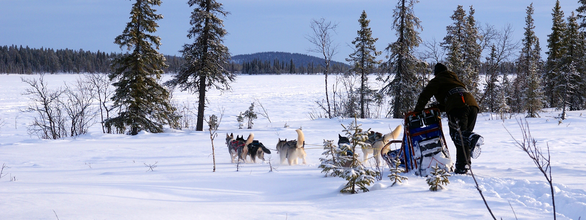 dog sled tour kiruna