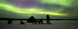 Evening Tour - Husky Voice dog sledding