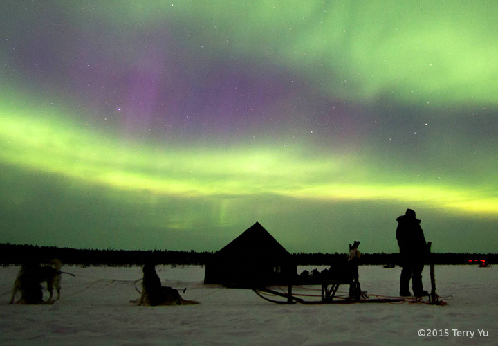 Evening Tour Featured - Husky Voice dog sledding