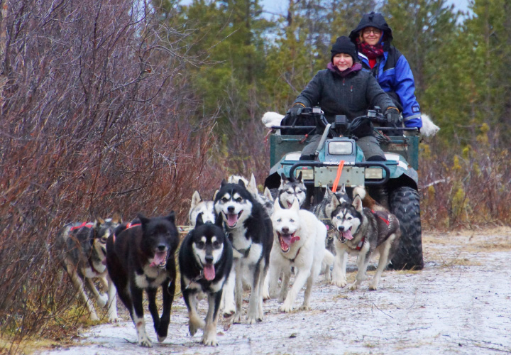 Train the Sled Dogs Tour - Husky Voice dog sledding