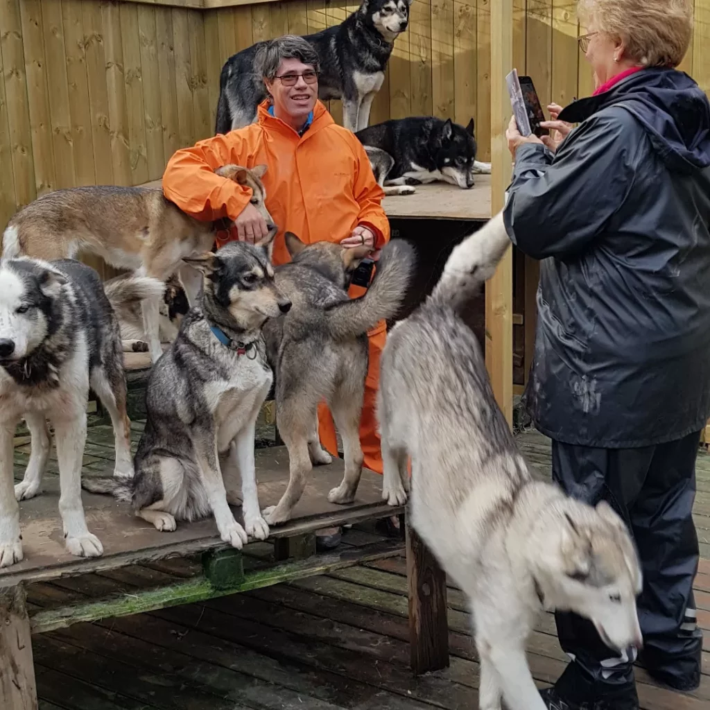 dog sled tour kiruna